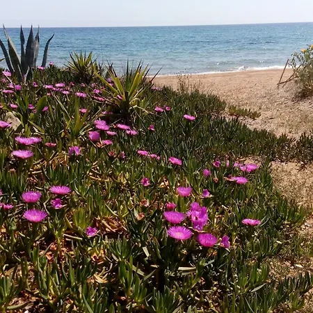 Sea Melodies 2 *