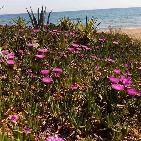 Holiday home Sea Melodies 2