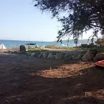 Sea Melodies 2