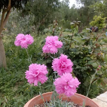 Holiday home Sea Melodies 2 *