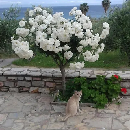 Дом отдыха Sea Melodies 2 *