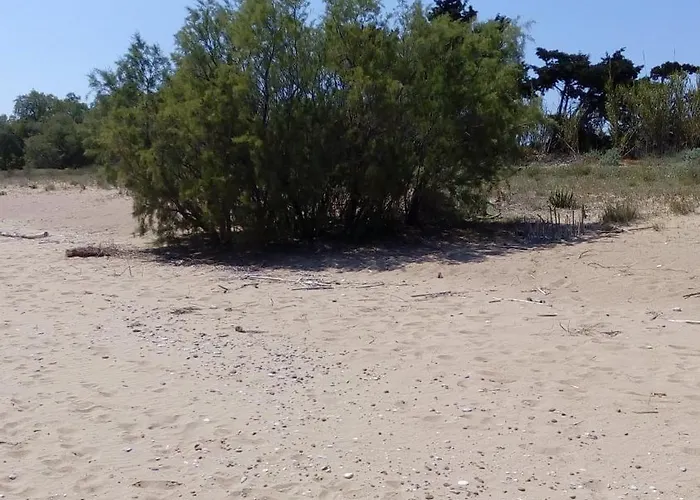 Sea Melodies 2 Koroni (Messinia)