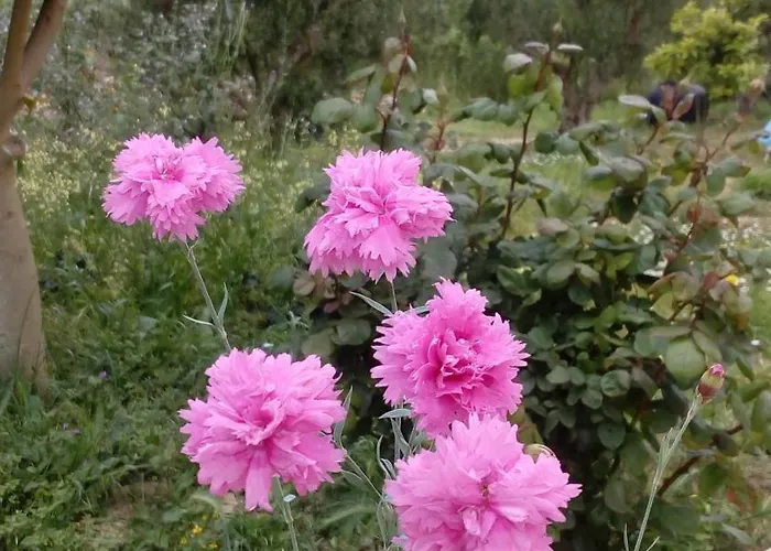 Casa de Férias Sea Melodies 2 *