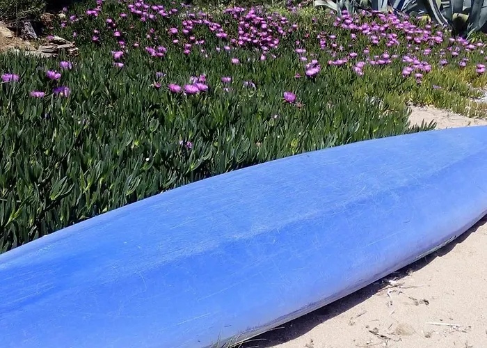 Sea Melodies 2 Holiday home *