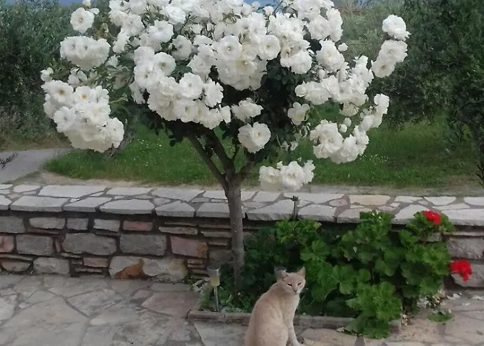 Holiday home Sea Melodies 2 *