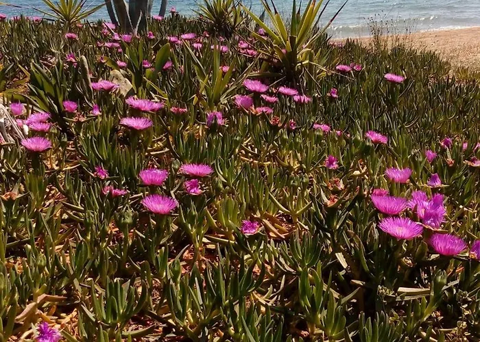 Holiday home Sea Melodies 2